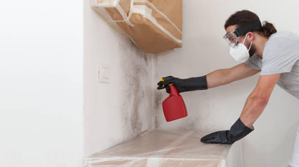 Professional Basement Mold Removal technician working in Convent Station, NJ